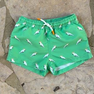 Zara Kids - Green Swim Trunks w/ Parrots - Size: 3-4T